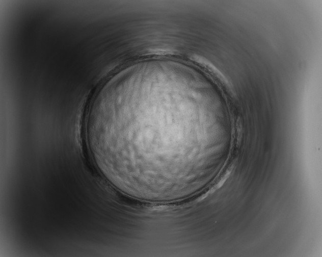 X0000087591162200705181214