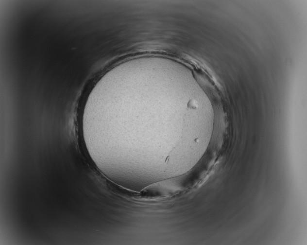 X0000087591164200705181214