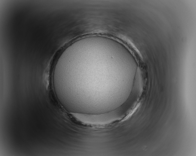 X0000087591165200705181214