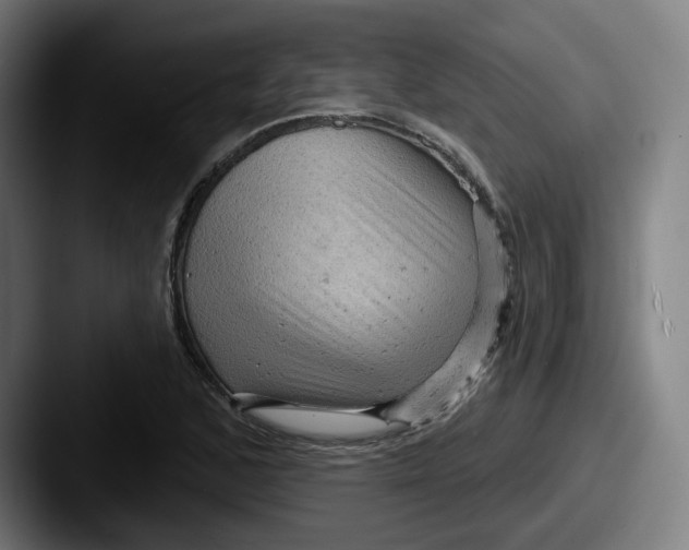 X0000087591168200705181214