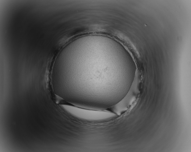 X0000087591169200705181214