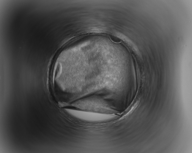 X0000087591170200705181214