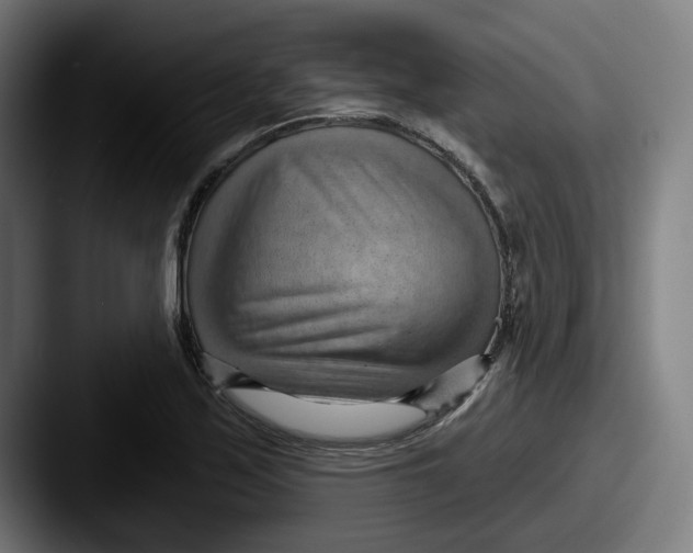 X0000087591171200705181214