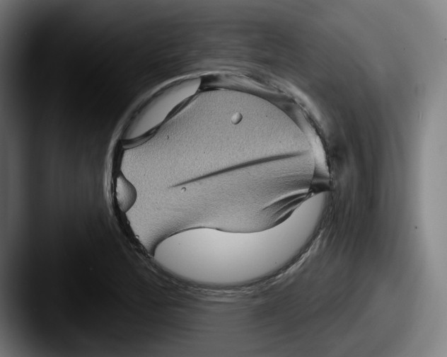 X0000087591172200705181214