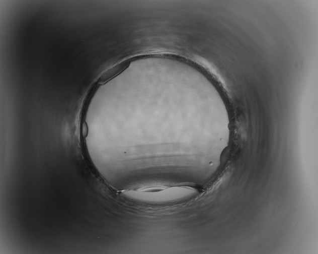 X0000087591173200705181214