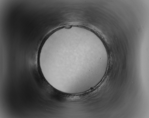 X0000087591174200705181214