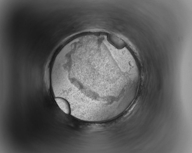 X0000087591175200705181214