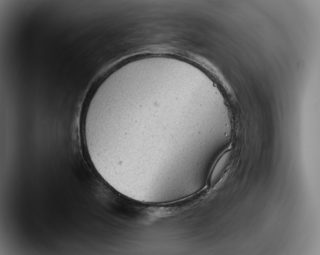 X0000087591176200705181214