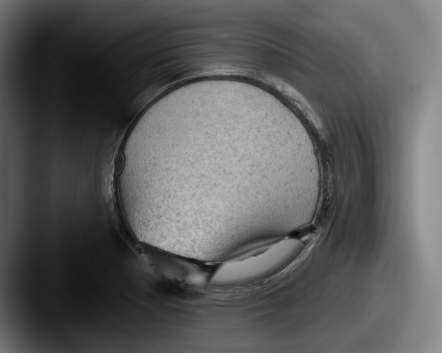 X0000087591177200705181214