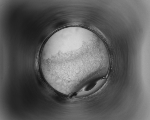 X0000087591178200705181213