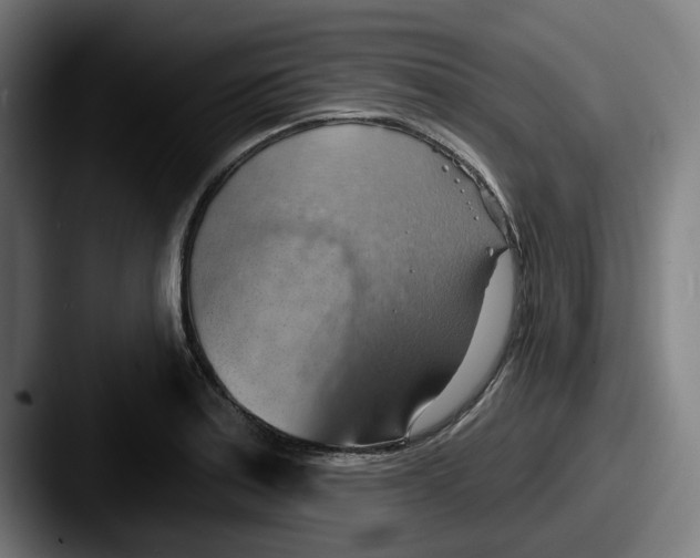 X0000087591179200705181213