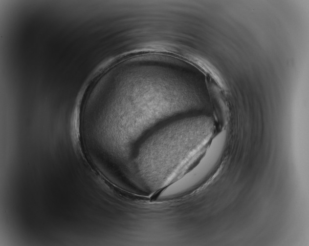 X0000087591180200705181213