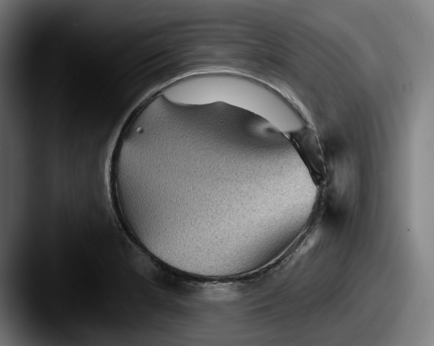 X0000087591181200705181213