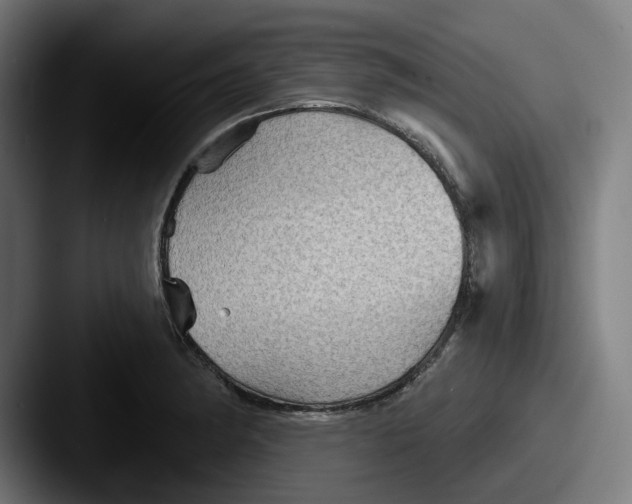 X0000087591182200705181213