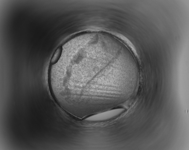 X0000087591183200705181213