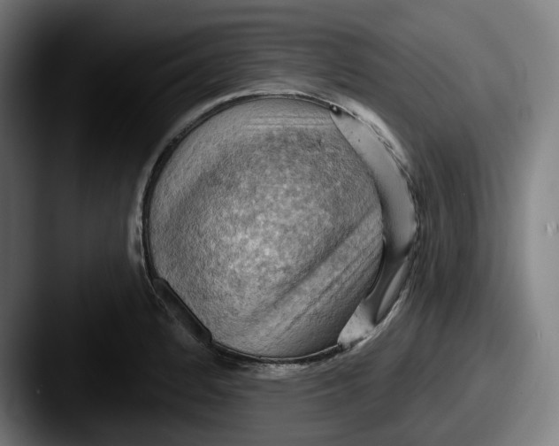 X0000087591184200705181213