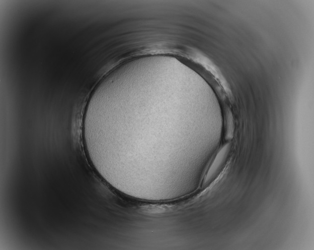 X0000087591185200705181213