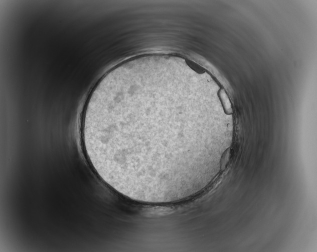 X0000087591187200705181213