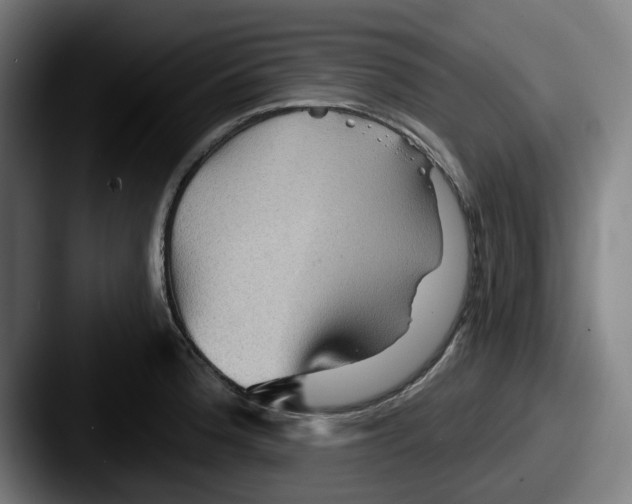 X0000087591188200705181213