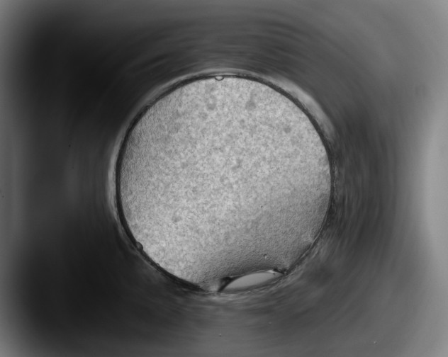 X0000087591191200705181213