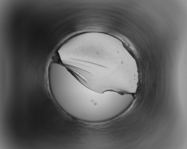 X0000087591192200705181213