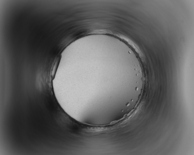 X0000087591193200705181213