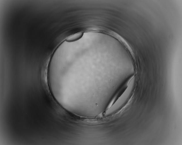 X0000087591194200705181213