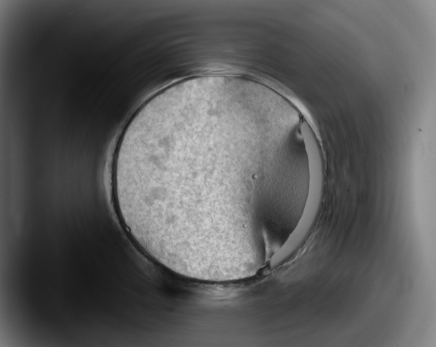 X0000087591195200705181213