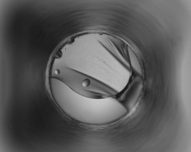 X0000087591196200705181213