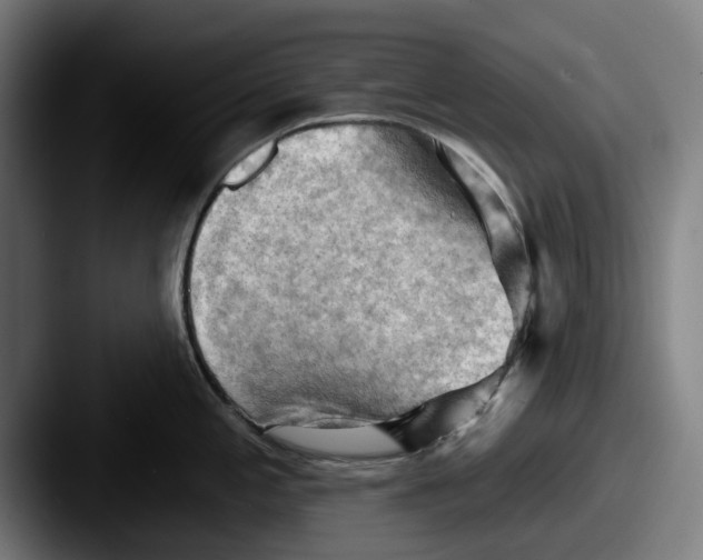 X0000087591197200705181213