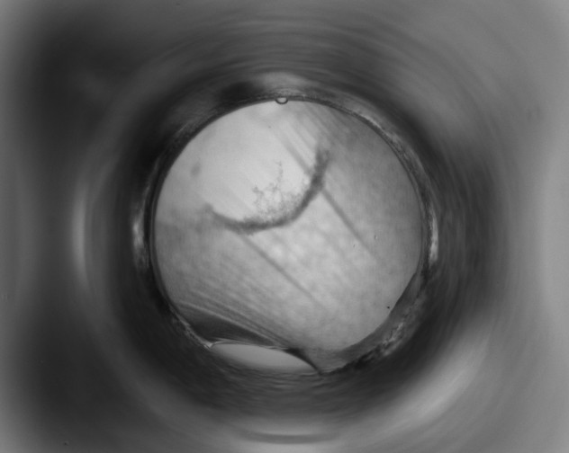 X0000087591198200705181213