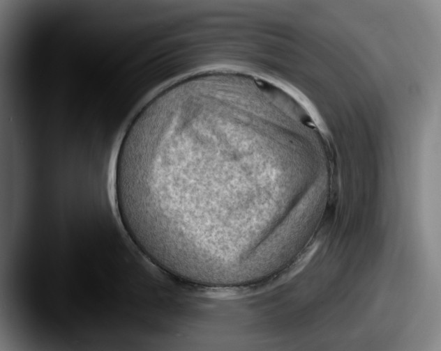 X0000087591199200705181213