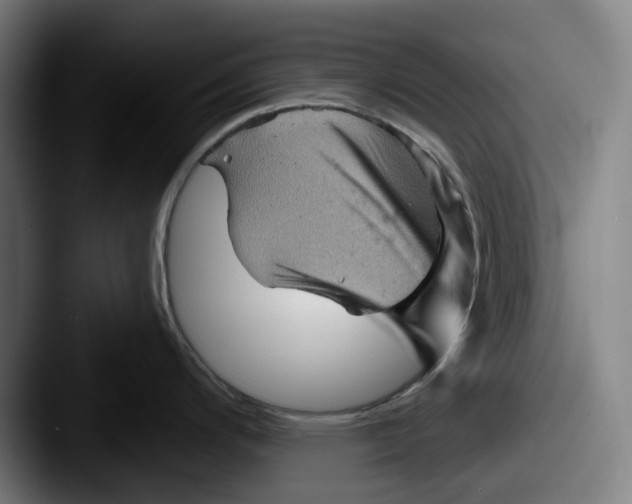 X0000087591200200705181213