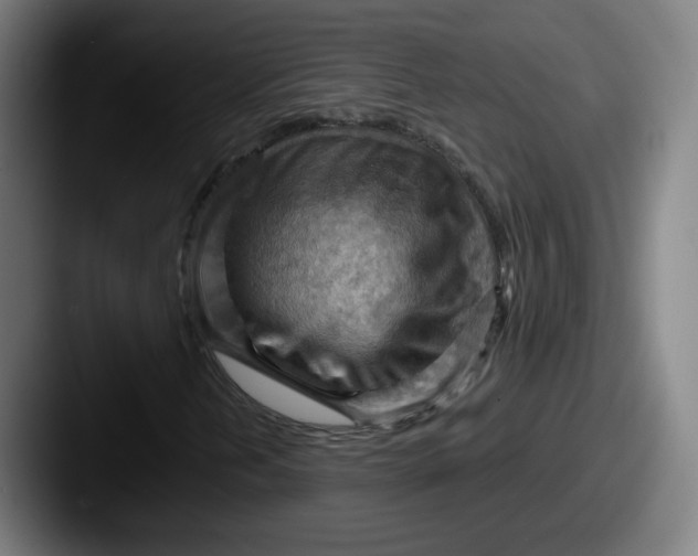 X0000087591202200705181213