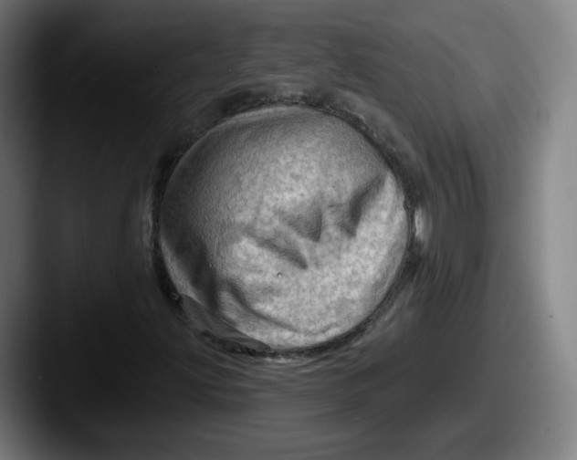 X0000087591203200705181213