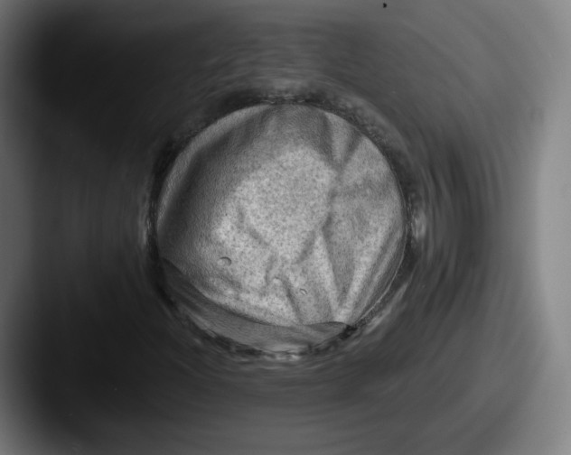 X0000087591204200705181213