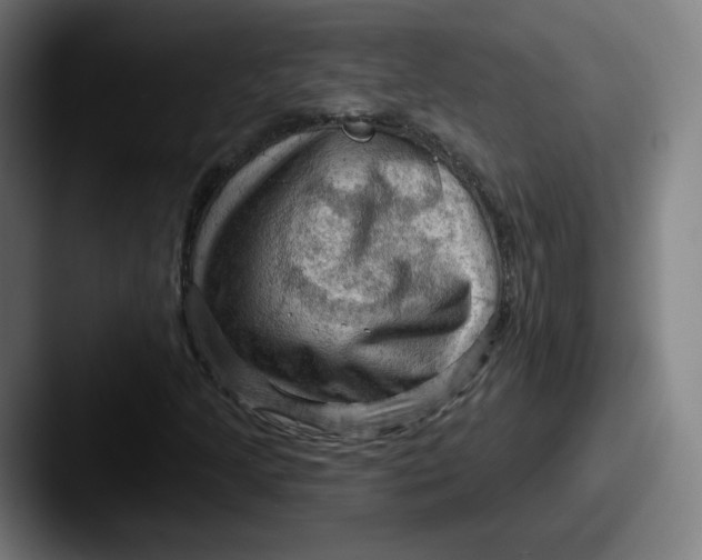 X0000087591205200705181213