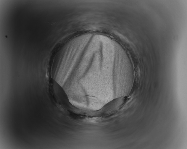 X0000087591206200705181213