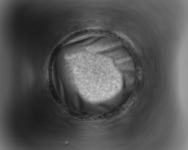 X0000087591208200705181213