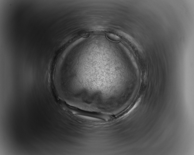 X0000087591209200705181213