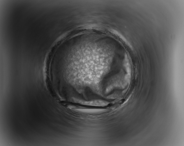 X0000087591213200705181213