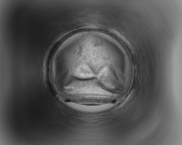 X0000087591215200705181213