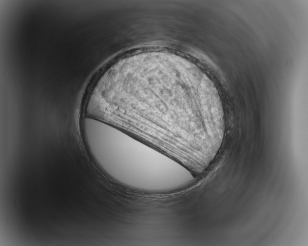 X0000087591216200705181213