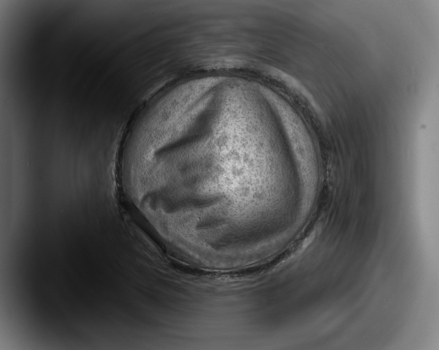 X0000087591217200705181213