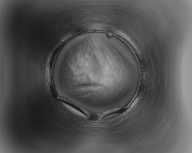 X0000087591219200705181213