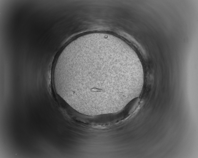 X0000087591220200705181213