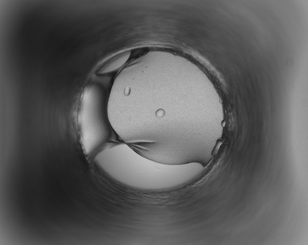 X0000087591222200705181213