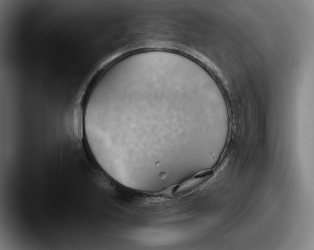 X0000087591223200705181213