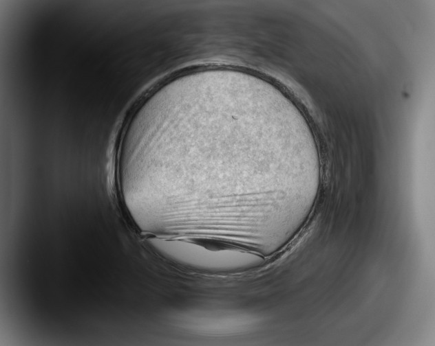 X0000087591224200705181213