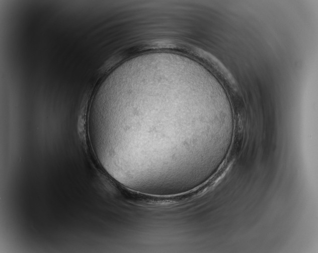 X0000087591225200705181213